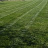 Caldwell custom lawns profile image