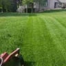 Isaac landscaping profile image