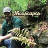 Nicoscapes profile image