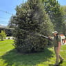 Greenskeepers Lawn Care profile image