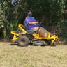 Palm Kings Tree Service LLC profile image