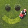 No Mow Worries! profile image