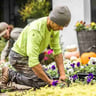 GreenThumb Landscaping profile image