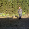 Proline lawn maintenance and stump removal profile image