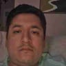 The Lawn Guy Llc profile image