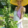 Lawns by Laura Lynn profile image