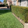 Grijalva's Lawn Care Services profile image