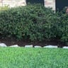 LAWS Landscaping profile image