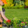 H&P Lawn & Landscaping, LLC profile image