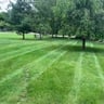 Lipsey lawn care profile image
