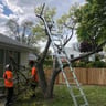 Q.B Lawncare L.L.C. profile image