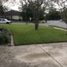 Lone Star Lawn Service profile image