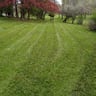 Robert Dukes Kut Pro Lawn Maintenance profile image