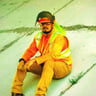 TerraVerde landscaping profile image