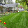 Rootech landscaping profile image