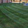 Harris Landscaping profile image