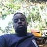 Yard Junkies profile image