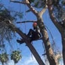 Treelation LLC profile image