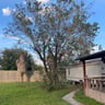 J's Lawn Care profile image