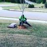 Right way lawn care profile image