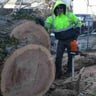RC TREE SERVICES profile image