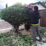 GG Landscaping profile image