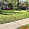 Sunny Way Lawn Care profile image
