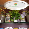 Barrier Island Landscaping LLC profile image