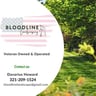 Bloodline Landscaping profile image