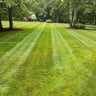 Parada Landscaping profile image
