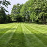 Salamanca's Landscaping LLC profile image