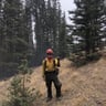 JP Forestry profile image