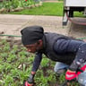 Love Your Lawn LLC profile image
