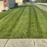 Picture perfect lawn care N Property specialists profile image