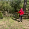 Dreams Come True Lawn Care profile image