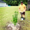 Ahoy Pool and Lawn Services profile image