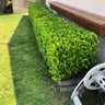 West Coast Lawn Care & Maintenance profile image