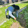 Prezidential Landscaping profile image