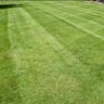 Stewart's Lawn Care profile image