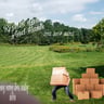 Rmb lawn Maintenance profile image