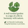 Naturalis Landscaping profile image