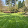 Bean's property maintenance profile image