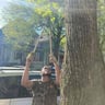 We Get It Done landscaping profile image