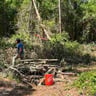 Beaver Land Clearing profile image