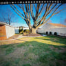 Sharpy Yard Care Service profile image