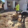 Fantastic landscaping profile image