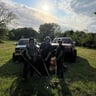 Acd lawn care profile image
