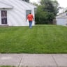 Express lawn service profile image