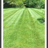 Cris Landscaping profile image