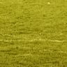 MT&B - mow trim & blow profile image